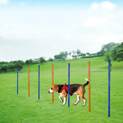 Agility Training Obstacle Poles