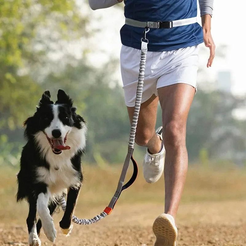 Retractable Hands Free Dog Leash for Running