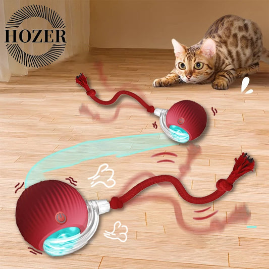 Interactive Rolling Cat Ball with Rechargeable Battery