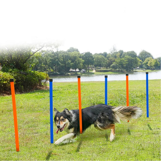 Agility Training Obstacle Poles