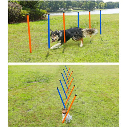 Agility Training Obstacle Poles