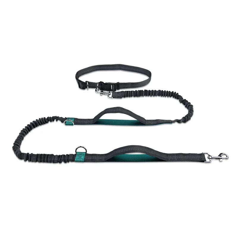 Retractable Hands Free Dog Leash for Running