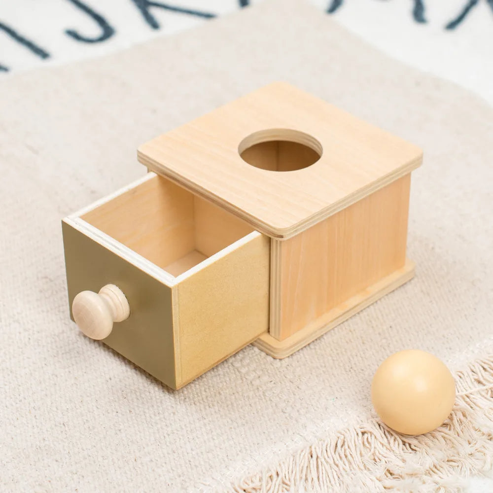 Innoplay Montessori Wooden Ball Box