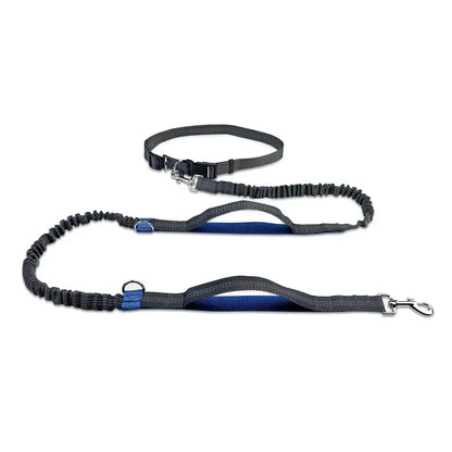 Retractable Hands Free Dog Leash for Running