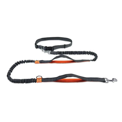 Retractable Hands Free Dog Leash for Running